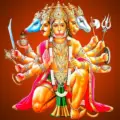 Hanuman Mandir Wellington: A Spiritual Haven in New Zealand